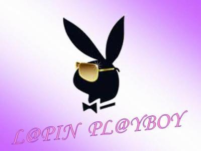 l'apin playboy