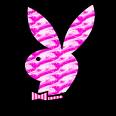 playboy rose