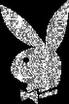 playboy gri